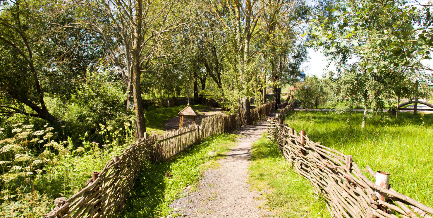 Unveiling the Secrets to Successful Hazel Hurdle Treatment