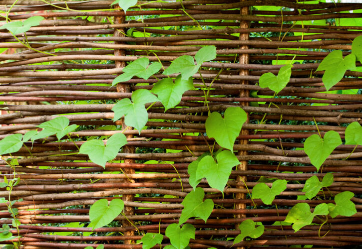 hazel hurdles, from the forest to the garden